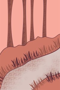 Ilustración del bosque rosada