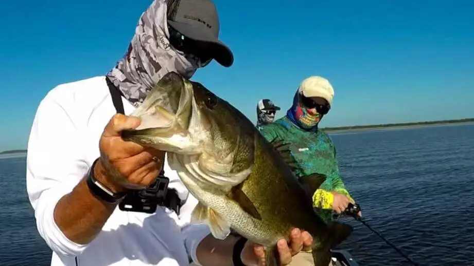 can largemouth bass live in brackish water
