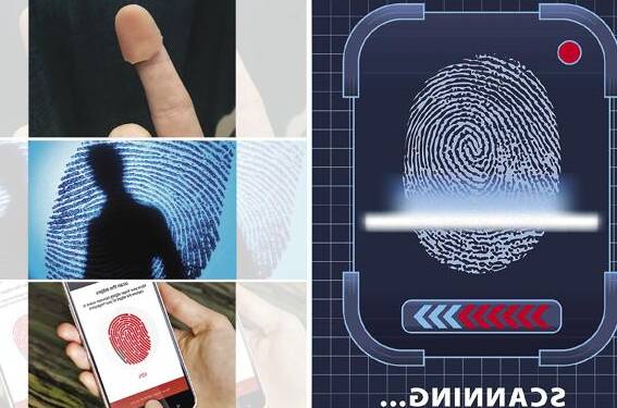 how long are live scan fingerprints good for