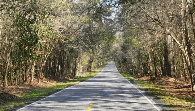 Most affordable places to live in South Carolina