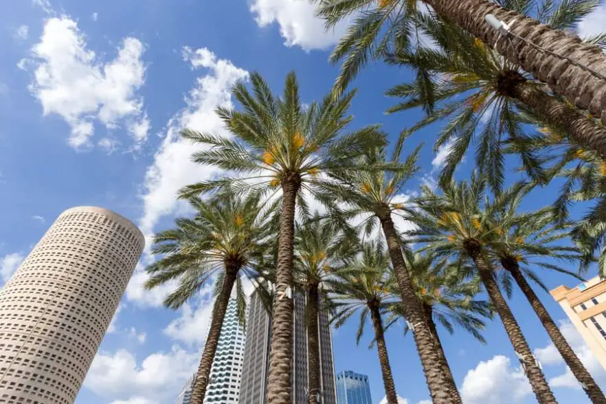 places to live in tampa for young professionals